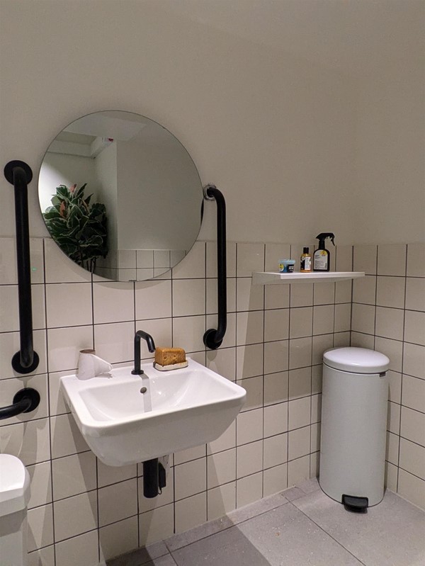 Image of sink in the accessible toilet