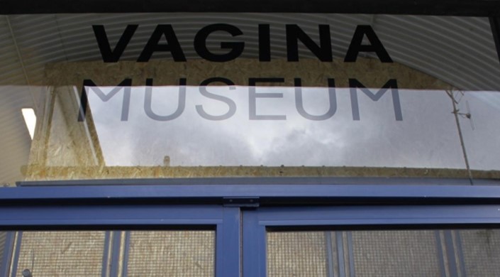 Vagina Museum