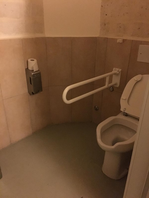 Accessible toilet 