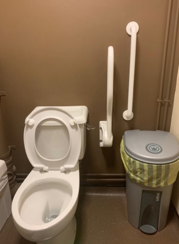 View of accessible toilet from door showing two handrails on left hand side of toilet.