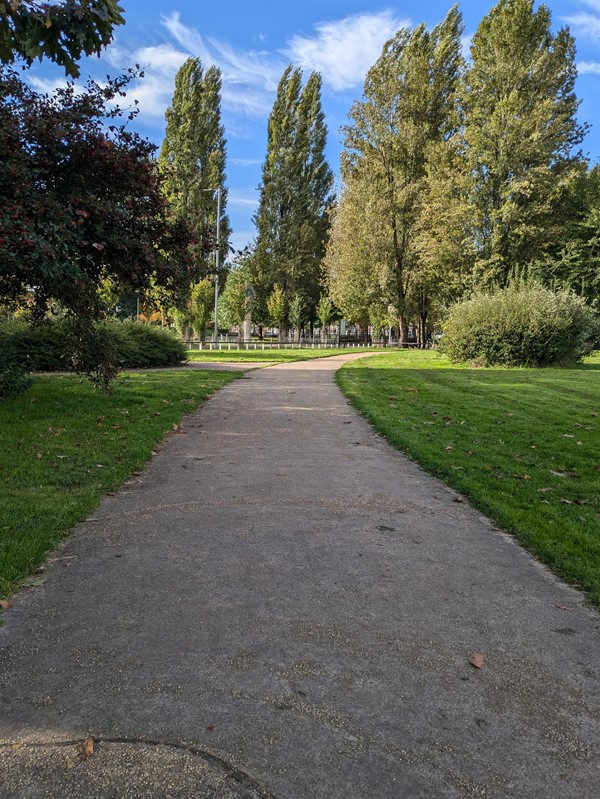 Image of a flat path bordered by grass and trees