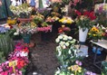 Photo of flowers at the market.