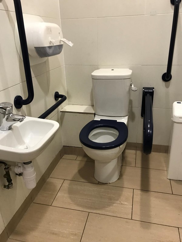 Accessible Toilet