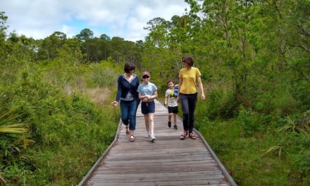 Audubon Bird Sanctuary