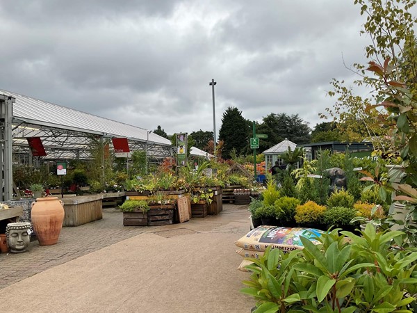 Image of a garden centre yard