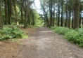 Picture of Beacon Fell Country Park