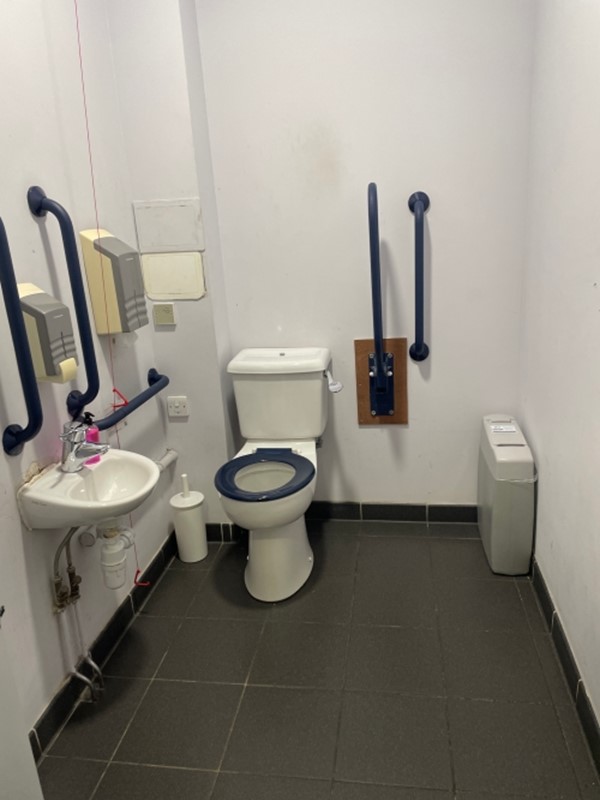 Image of an accessible toilet