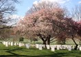 Arlington National Cemetery