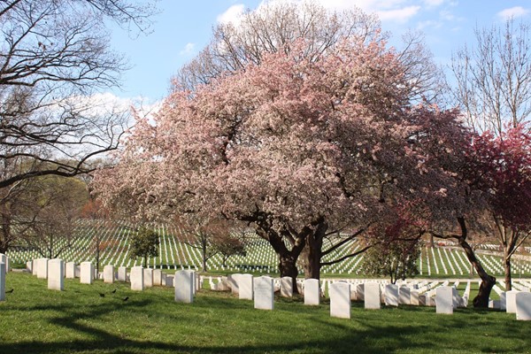 Arlington National Cemetery