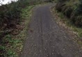 Picture of Kielder Water and Forest Park