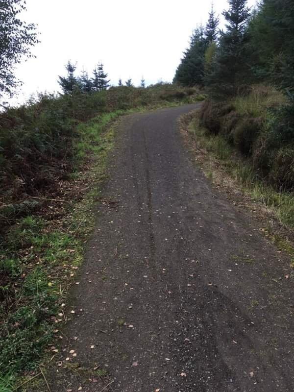 Picture of Kielder Water and Forest Park