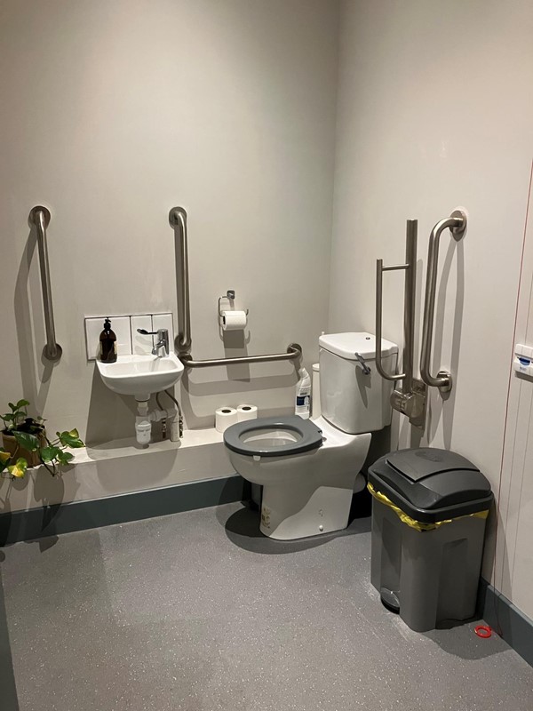 Image of the accessible toilet showing the sink and toilet.