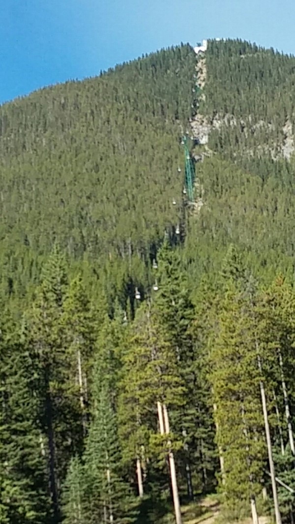 Gondolas up the mountain