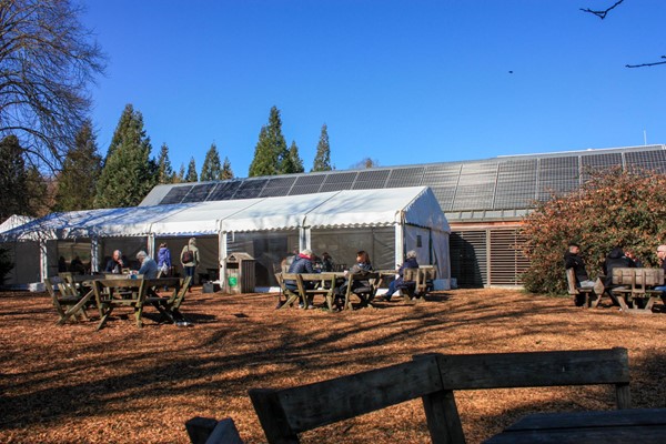 Picnic area of the restaurant, with plenty of space but soft bark chipping surface.