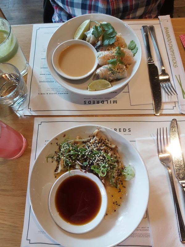 Gyoza dumplings and Edamame and shiso summer rolls