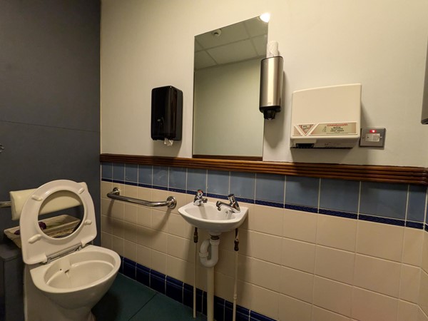 Image of the accessible toilet