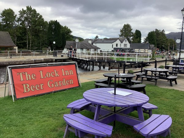 Image of a beer garden with a purple table