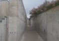 Image of a concrete walkway with trees and a person walking