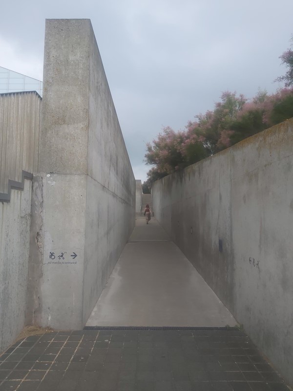 Image of a concrete walkway with trees and a person walking