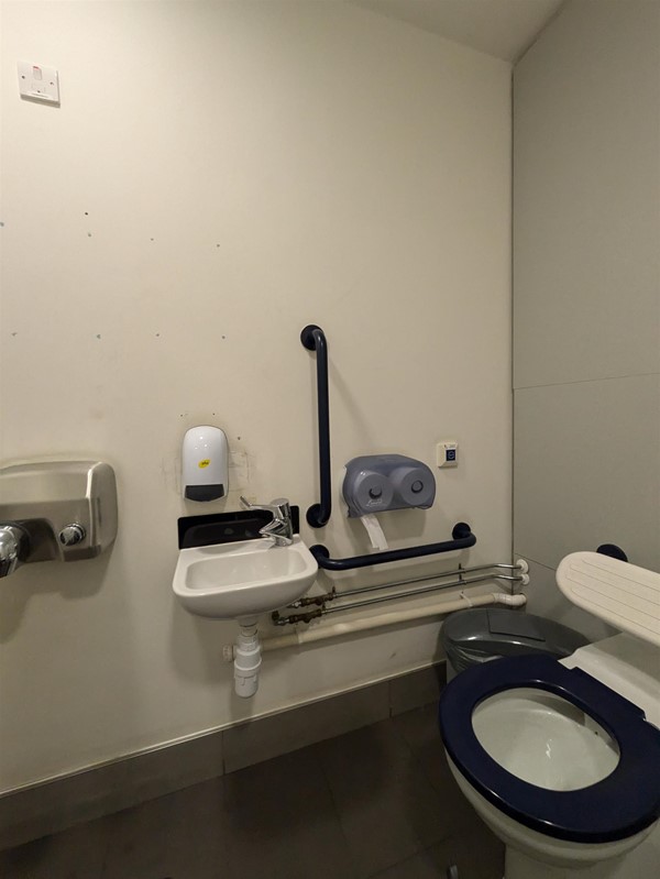 Image of toilet and sink in the accessible toilet