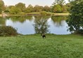 Coate Water Country Park