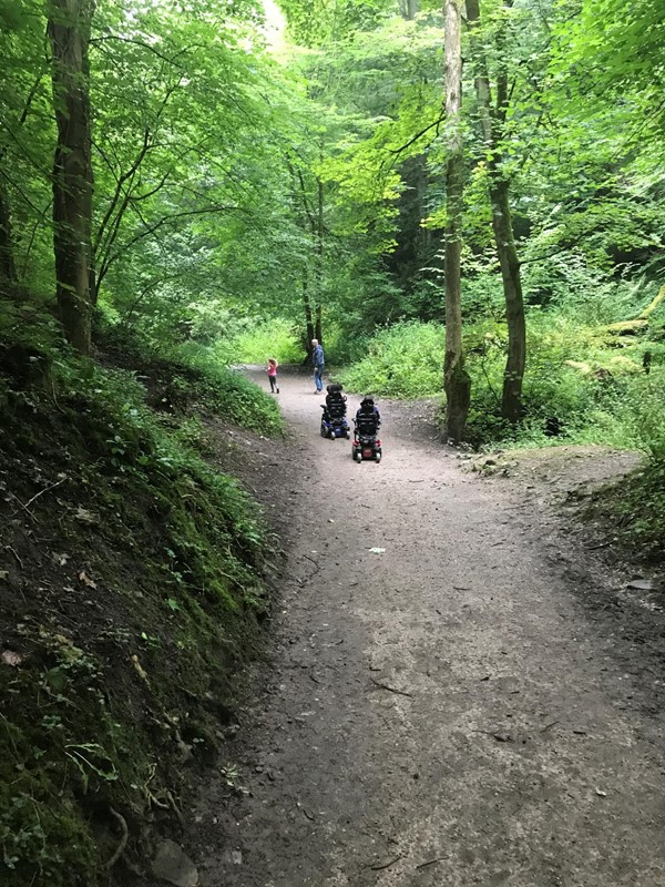 Picture of  Loggerheads Country Park, Mold