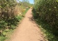 Path from Falkirk Wheel to Roman fort.