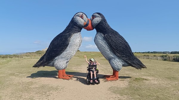 Visit and drive under the massive puffins nearby