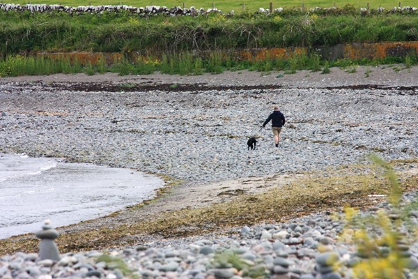 Pebbly beach - great for dog walking but not wheelchairs