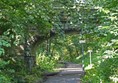 Picture of Roseburn Path - Roseburn to Craigleith - Edinburgh