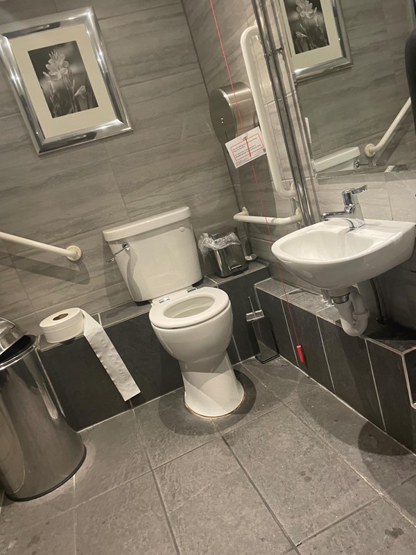 Picture of the accessible toilet at The Boatman