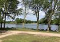 Picture of some trees by a marina