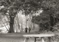 Monochrome photo taken from the cafe stop just over half way around the lake. A picnic table is showing (there are lots of these) and then the path goes off into the distance.