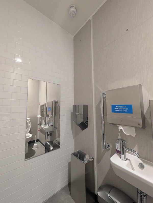 Image of the accessible toilet showing the sink, wastebins, mirror and hand dryer