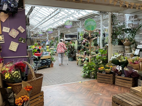 Image of a person in a shop