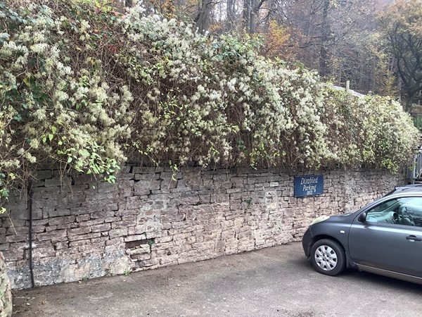 4 disabled parking bays