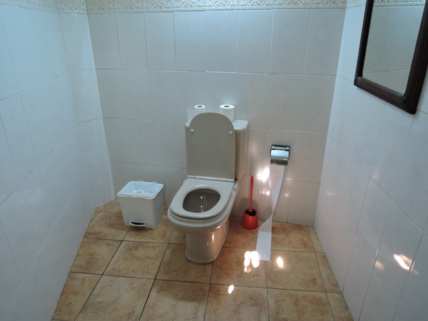 Toilet