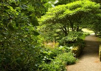 Disabled Access Day at Dawyck Botanic Garden