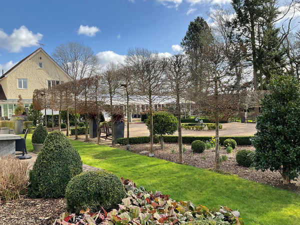 Garden area with view of conservatory