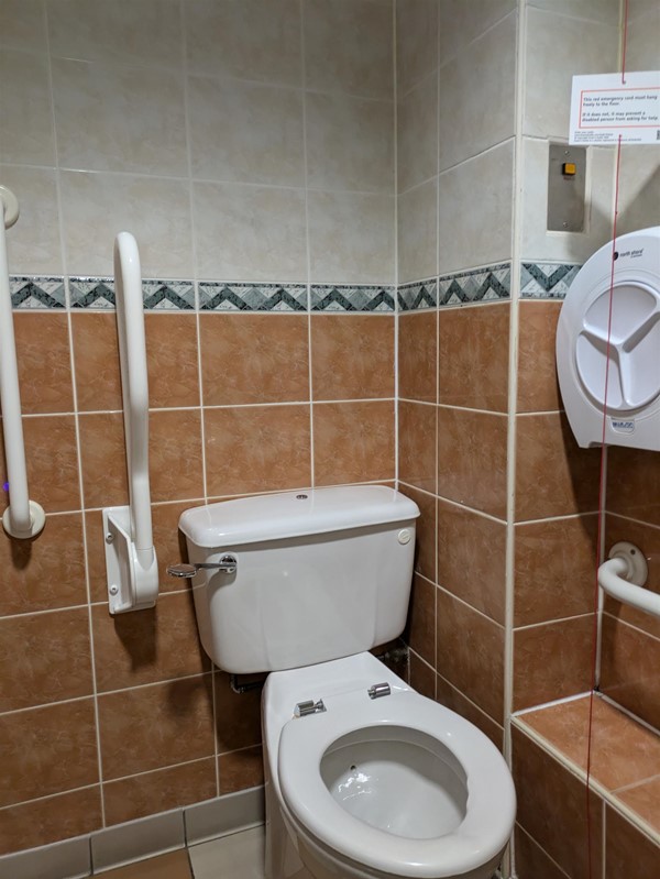 Image of accessible toilet