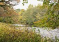 The River Wharfe flowing quickly through late autumnal trees.