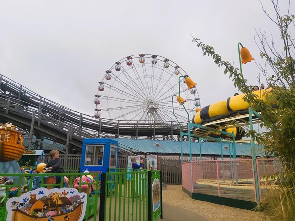 ferris wheel