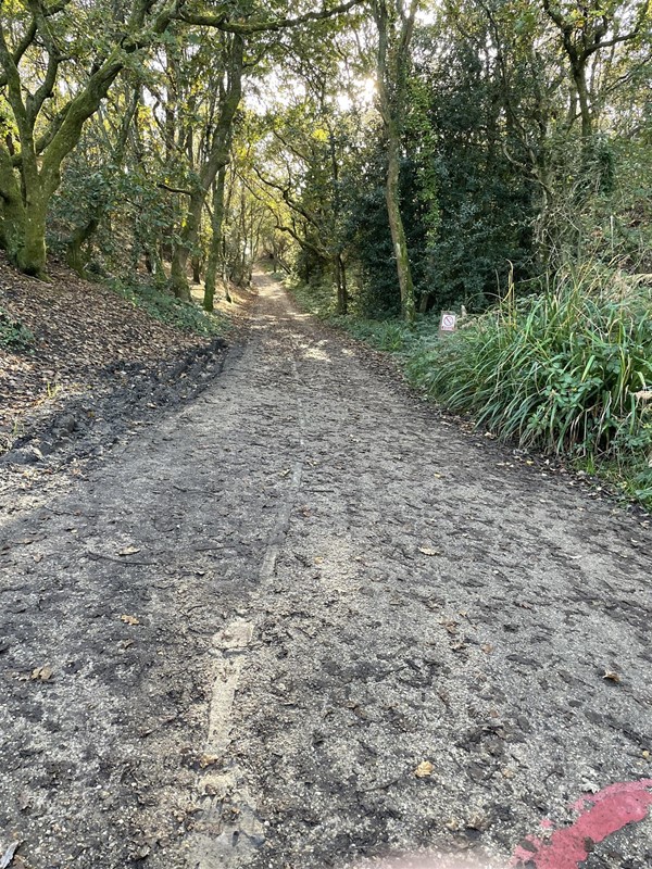 This is concrete but steeper than it looks, accessible to wheelchair users though