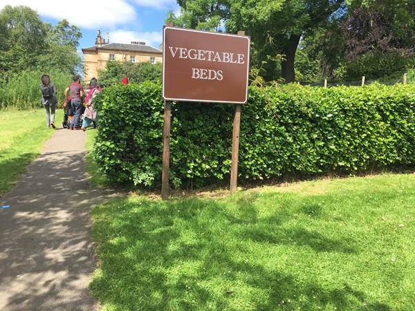 Vegetable Garden.