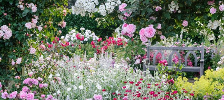 RHS Garden Rosemoor