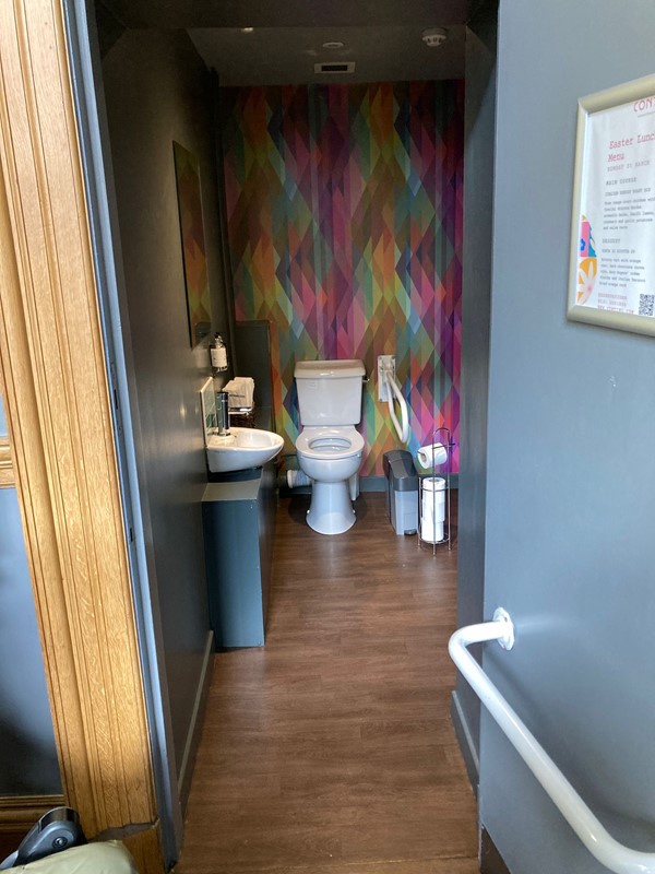 Narrow toilet cubicle with bins obstructing too narrow a transfer space.