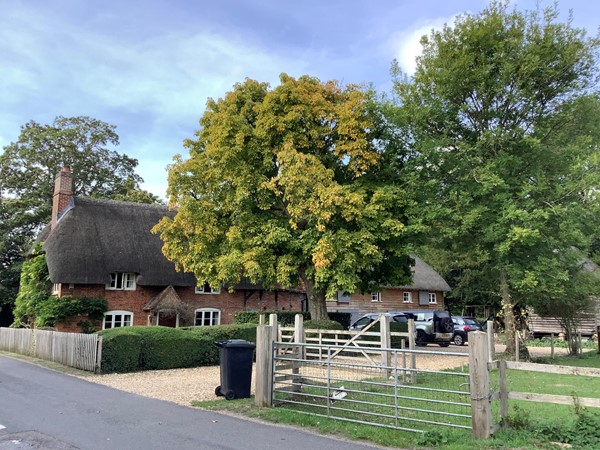 House with a bin and a metal gate