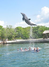 Delphinus at Xel-Ha