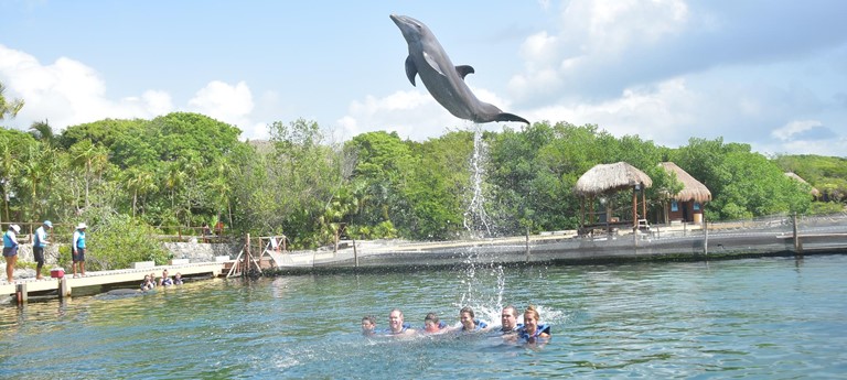 Delphinus at Xel-Ha