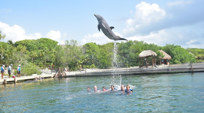 Delphinus at Xel-Ha